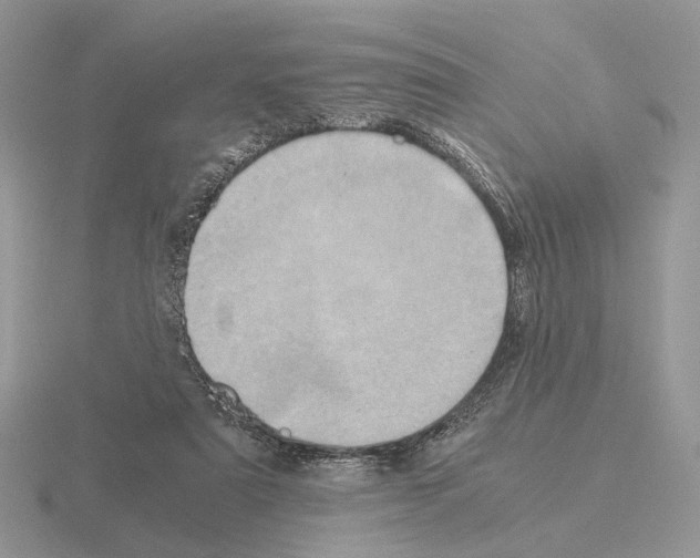 X0000115370307200912151424