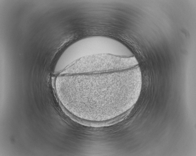 X0000115370308200912151424