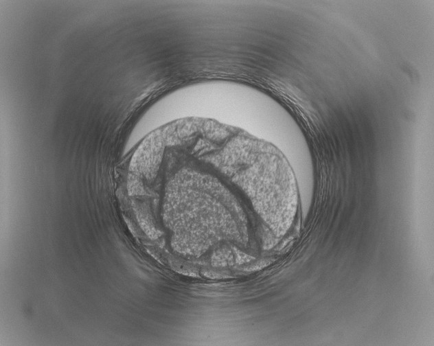 X0000115370312200912151424