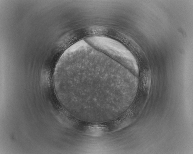 X0000115370316200912151424