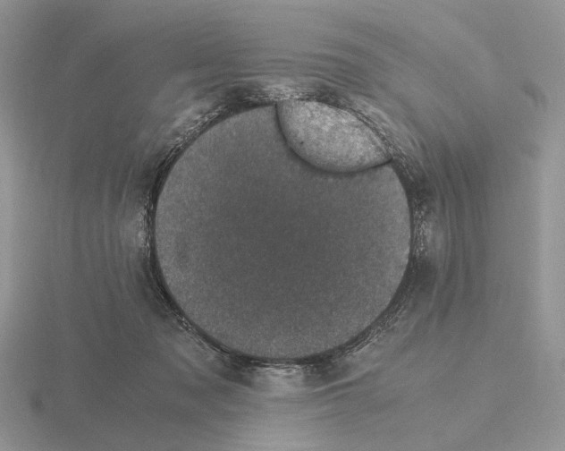 X0000115370317200912151424