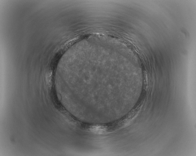 X0000115370319200912151424