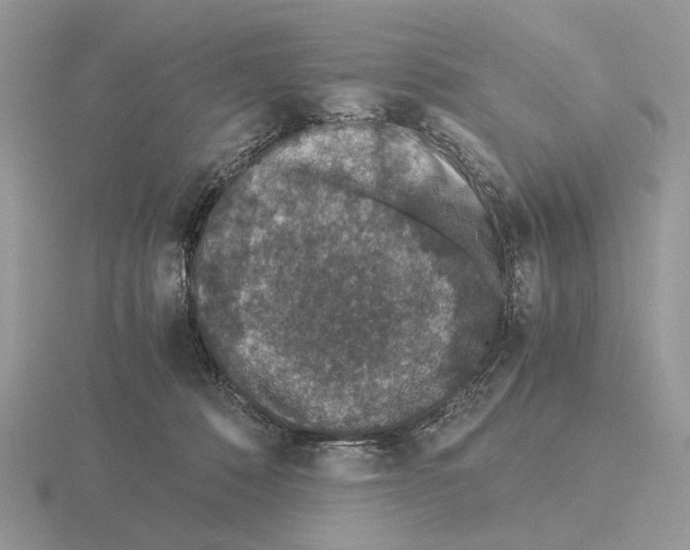 X0000115370320200912151424