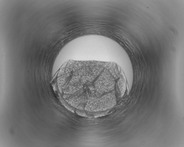 X0000115370324200912151424