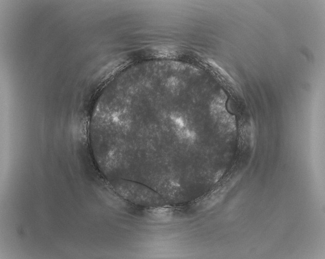 X0000115370325200912151424