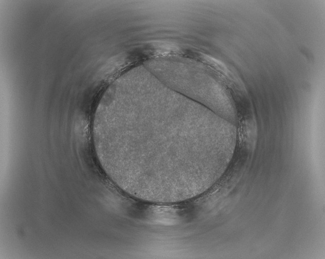 X0000115370327200912151424