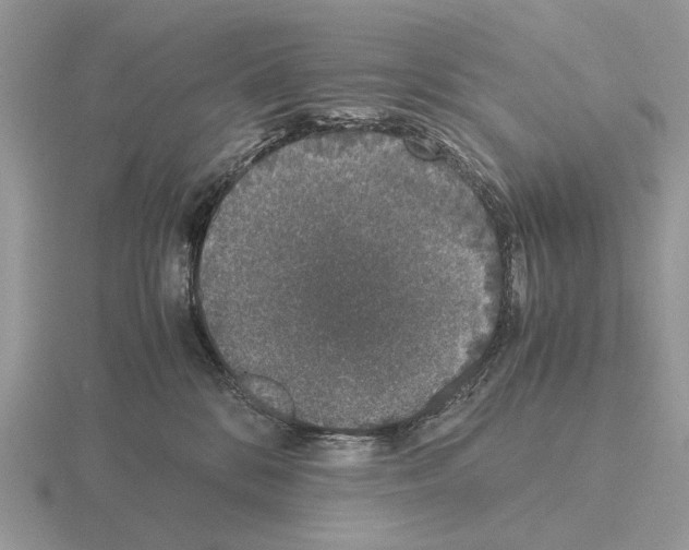 X0000115370328200912151424