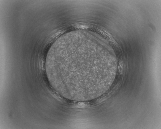 X0000115370330200912151424