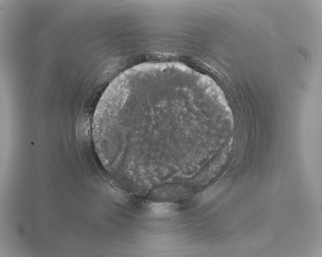 X0000115370336200912151424