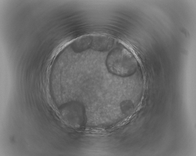 X0000115370337200912151423