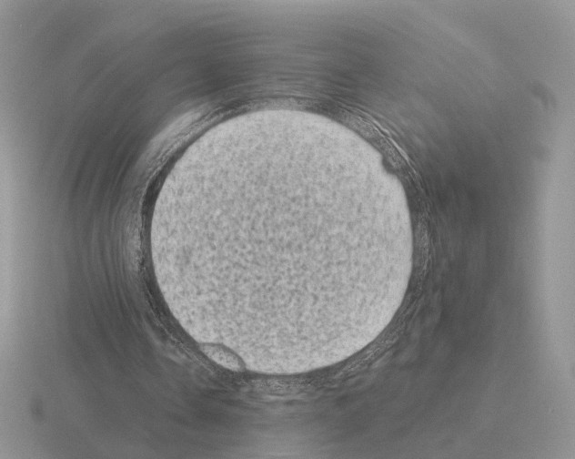 X0000115370338200912151423