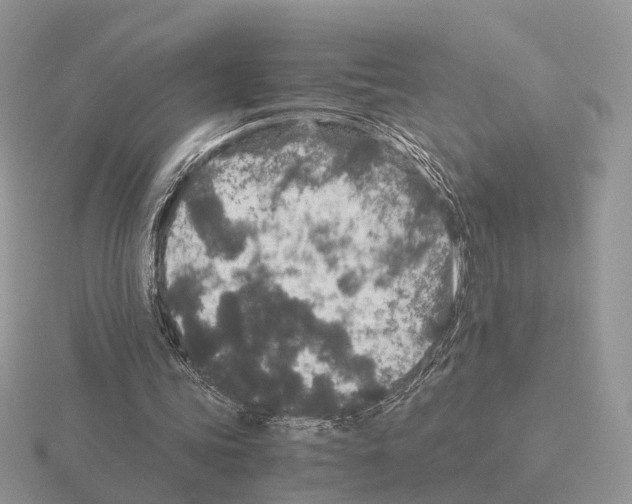 X0000115370339200912151423