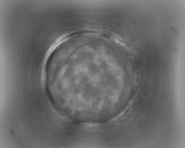 X0000115370343200912151423