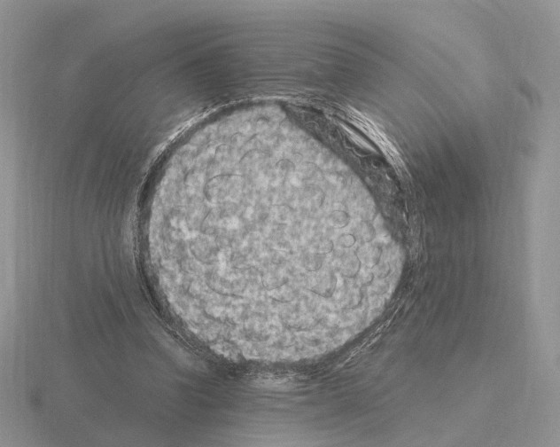 X0000115370346200912151423