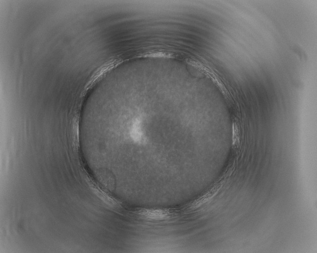 X0000115370349200912151423