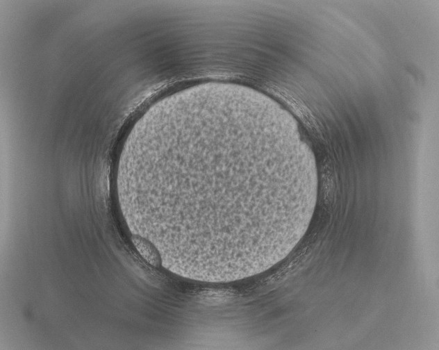 X0000115370350200912151423