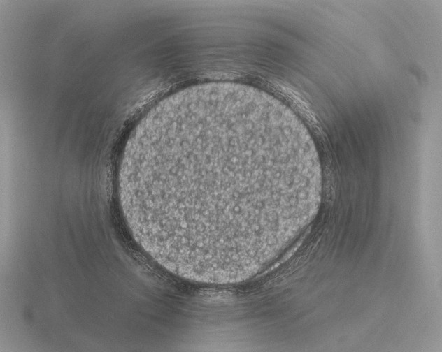 X0000115370354200912151424