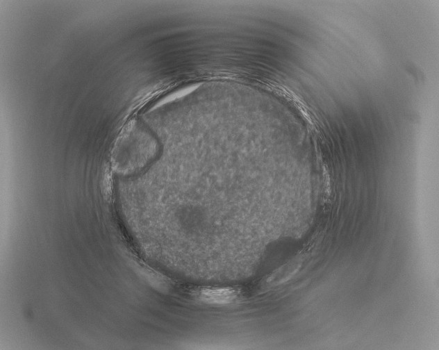 X0000115370357200912151424