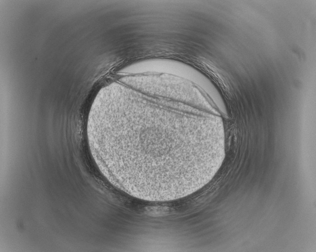 X0000115370362200912151424