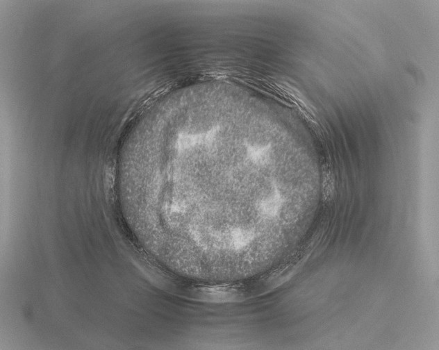 X0000115370365200912151424