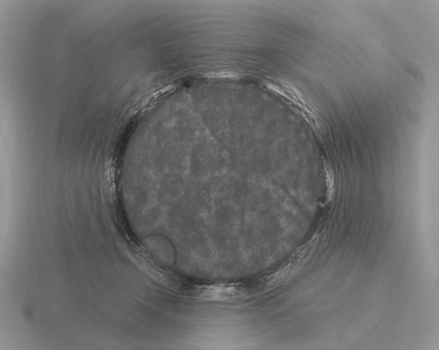 X0000115370366200912151424