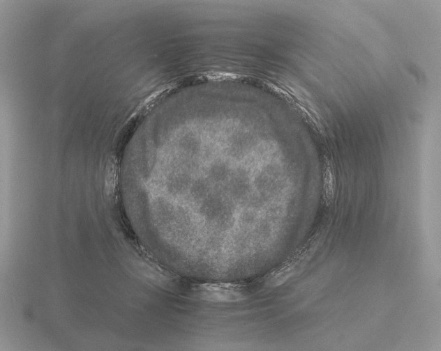 X0000115370367200912151424