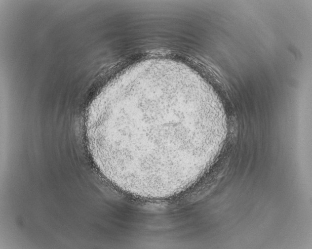 X0000115370369200912151424