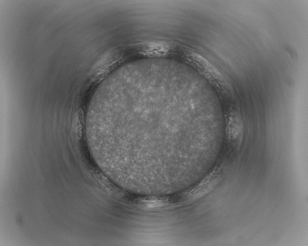 X0000115370370200912151424