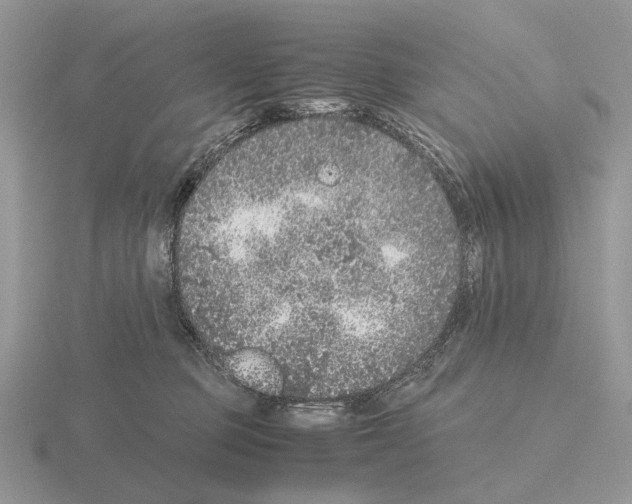 X0000115370373200912151424