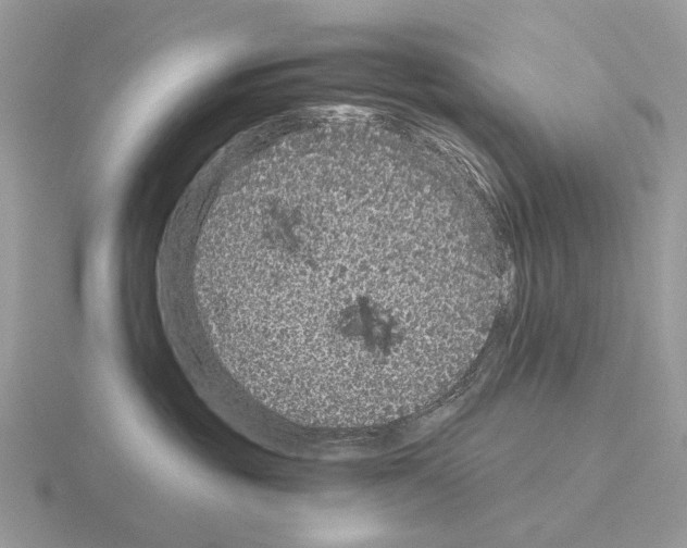 X0000115370381200912151424