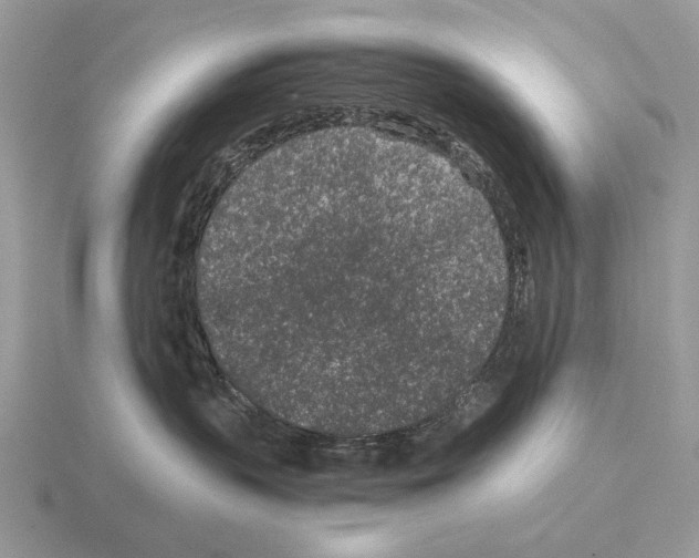 X0000115370383200912151424