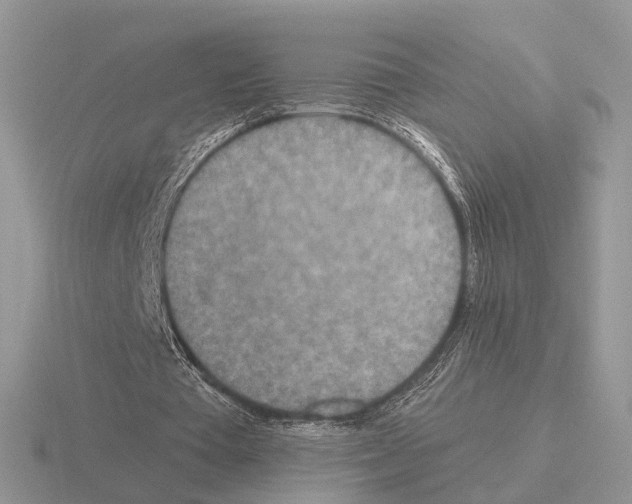 X0000115370385200912151423