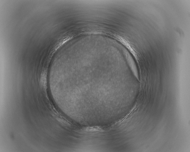 X0000115370386200912151423