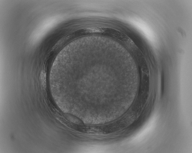 X0000115370387200912151423