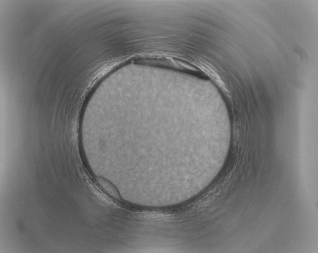 X0000115370389200912151423