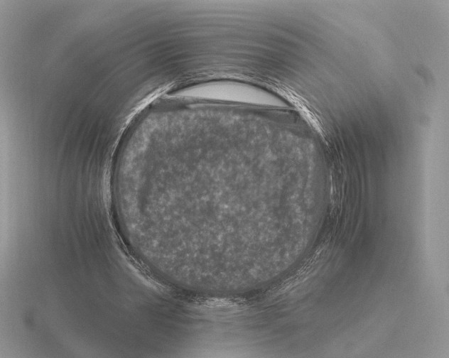 X0000115370390200912151423