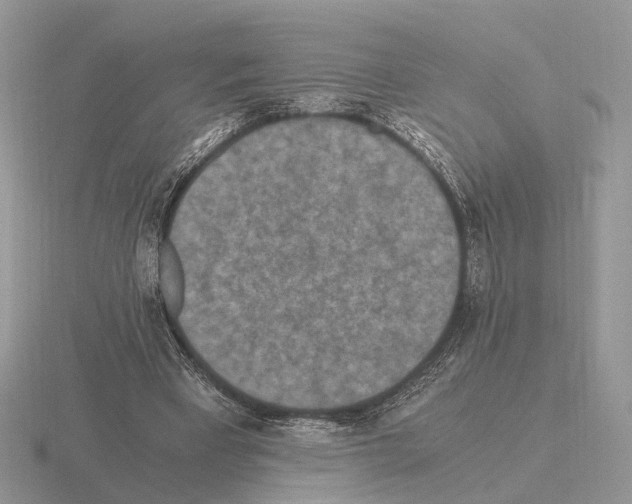 X0000115370393200912151423