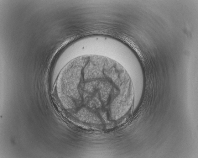 X0000115370395200912151423