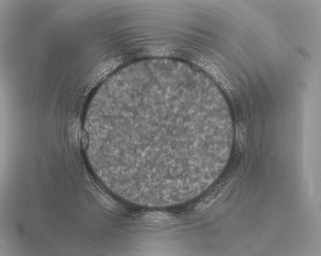 X0000115370397200912151423