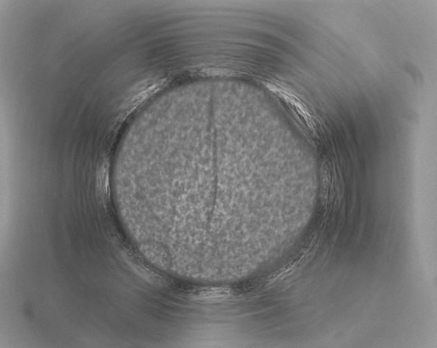 X0000115370398200912151423