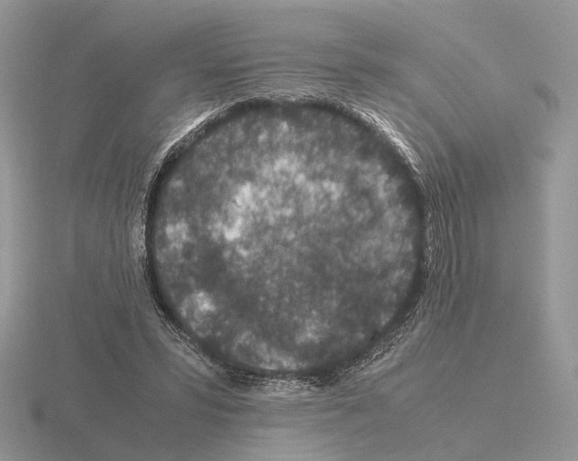 X0000115370399200912151423