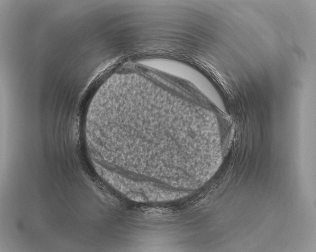 X0000115370400200912151423