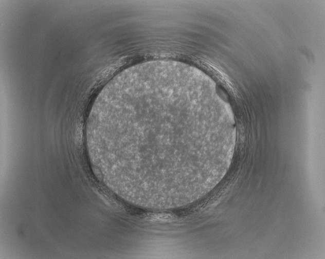 X0000115370401200912151423