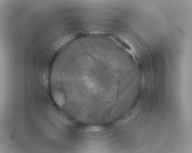 X0000115370402200912151423