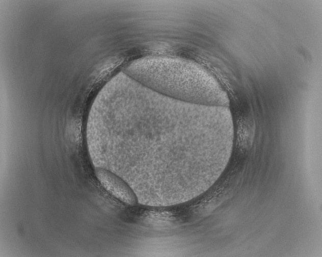 X0000115370403200912151423