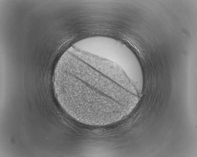 X0000115370407200912151423