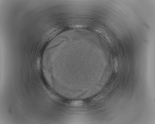 X0000115370410200912151423