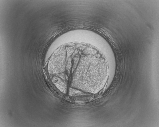 X0000115370415200912151423