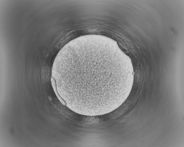 X0000115370421200912151423