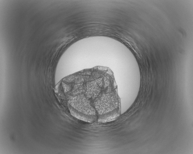 X0000115370423200912151423